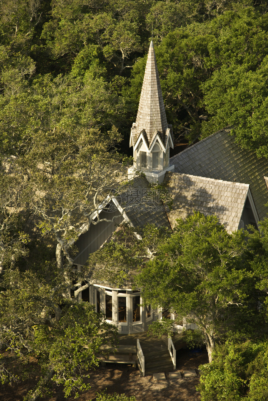 教堂在树上的空中图片