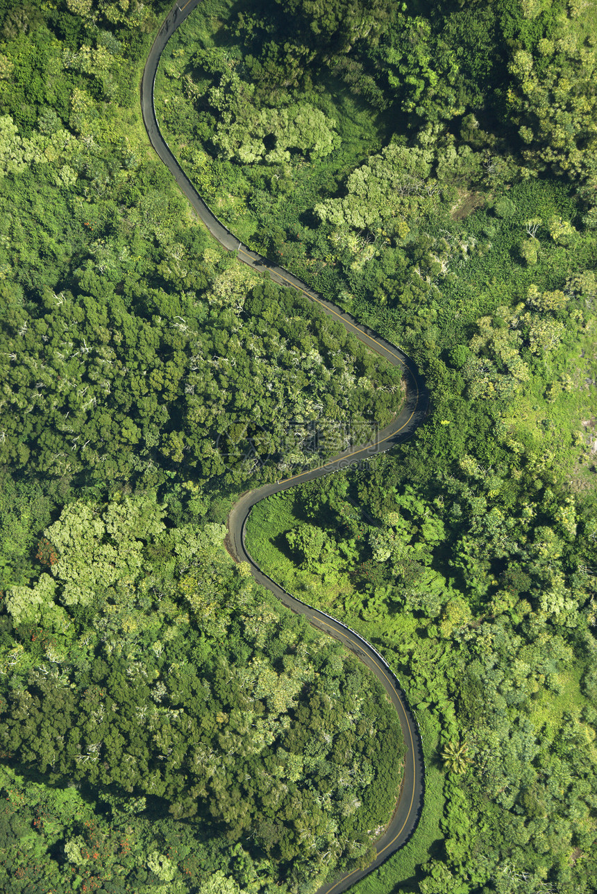 穿过森林的道路旅行乡村风景假期树木旅游天线自然界照片视图图片