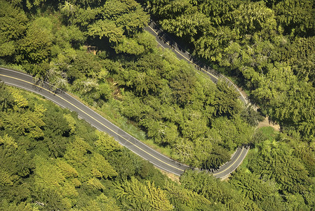 美国1号公路景象高速公路旅行缠绕风景路线公路乡村视图曲线农村天线背景