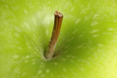 苹果绿色食物饮食健康营养宏观水果背景图片
