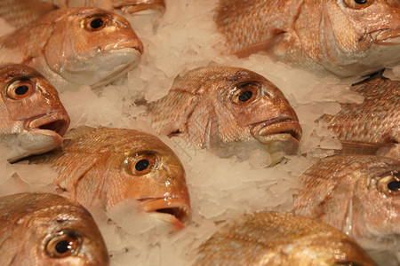 鱼头鱼叉市场平头海鲜渔民背景图片