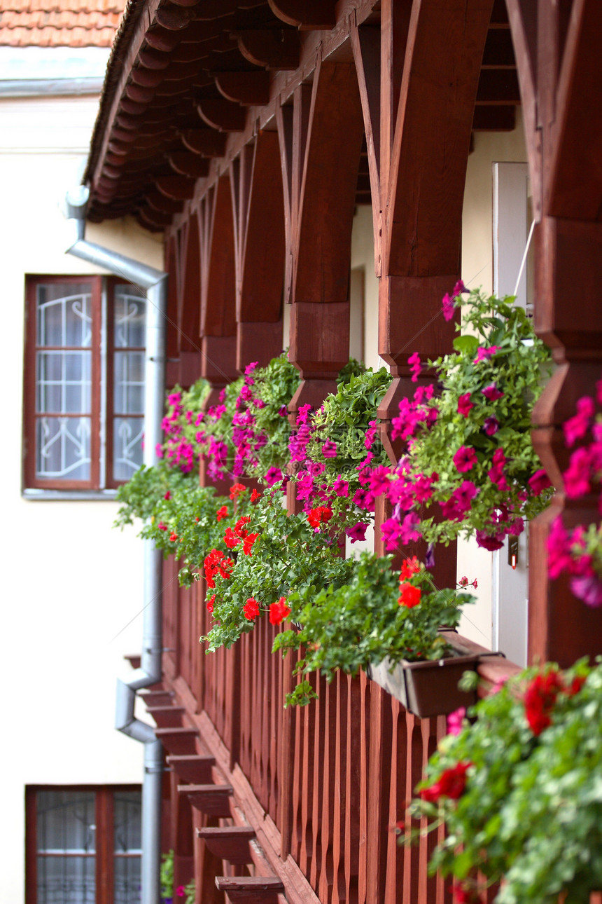鲜花阳台大厦叶子窗户木头紫色棕色植物花瓣村庄香水图片