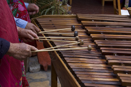 Marimba 玩家高清图片