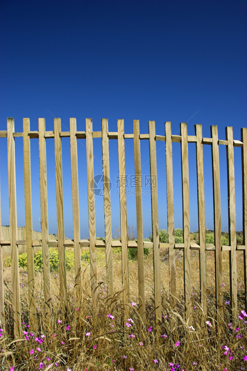 蓝栅栏木头晴天院子防御时间灌木丛花朵人行道财产沙丘图片