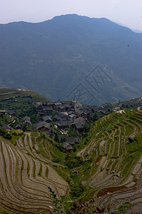 稻田脊台旅行山脉旅游龙神梯田生长地方城市场地高清图片