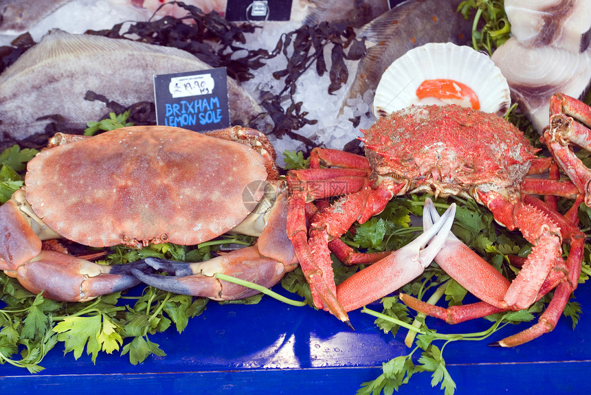 贝壳鱼熟食食物展示摊位海鲜奢华市场图片