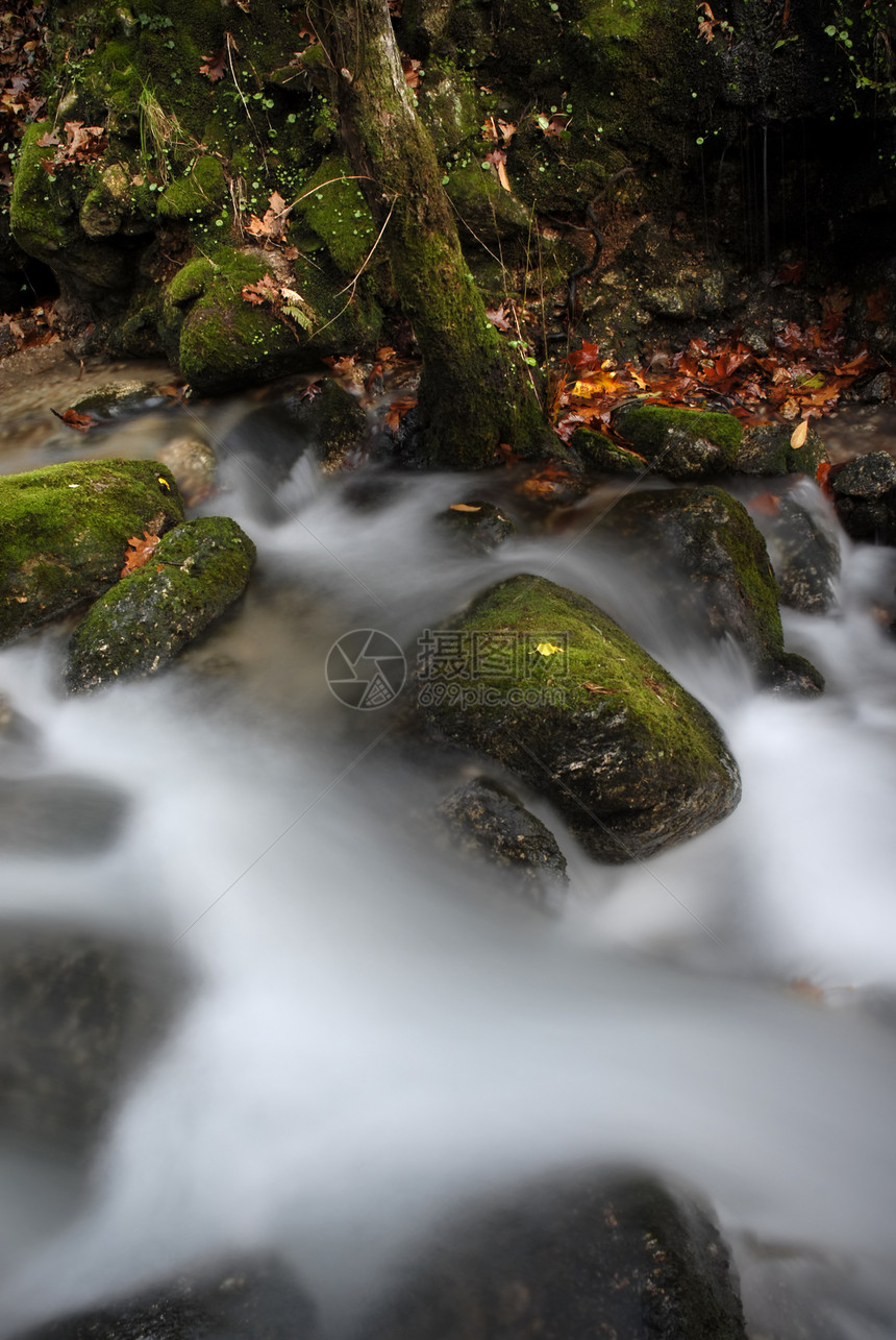 秋天旅行林地森林地球溪流流动苔藓荒野跑步瀑布图片
