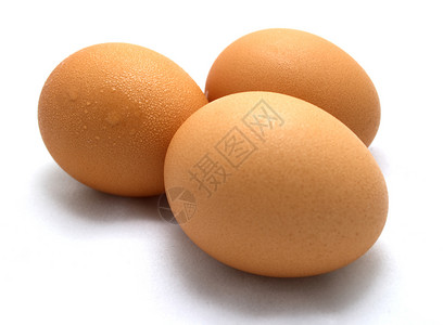蛋食物母鸡棕色圆圈椭圆形背景图片