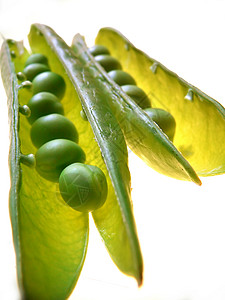 豌豆营养品种子蔬菜粮食绿色饮食健康营养食物背景图片
