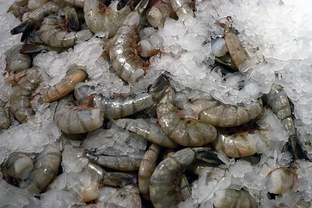 海产食品市场-虾高清图片