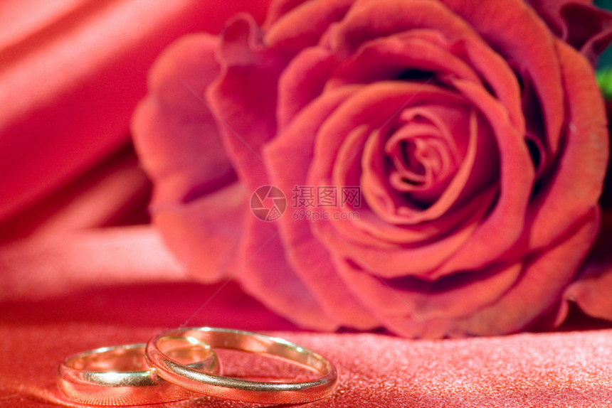 环环和圆环卡片念日脆弱性花瓣金子柔软度订婚礼物珠宝夫妻图片