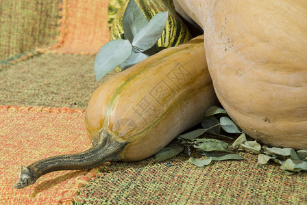 胡桃瓜季节性冬瓜橙子蔬菜葫芦艺术南瓜食物背景图片