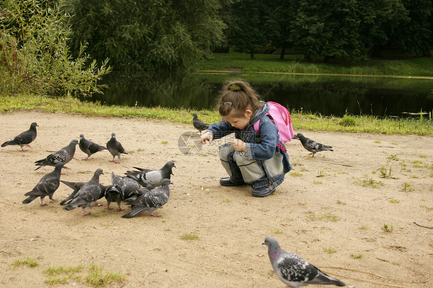女孩在喂鸽子图片