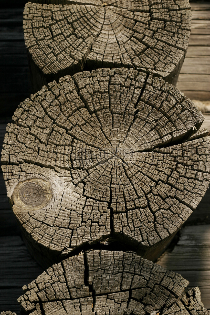 原木机舱乡村年轮村庄木材框架木头砍伐国家房子图片