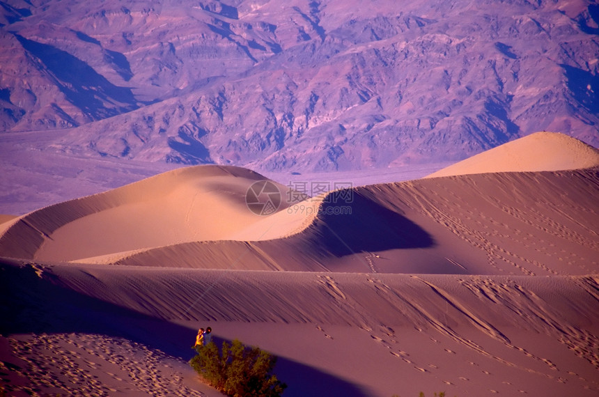死亡谷国家温度山脉沙漠猫头鹰头海拔盆地旅行公园游客图片