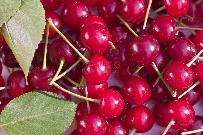 樱桃宏观食物水果生态营养红色饮食甜点种植图片