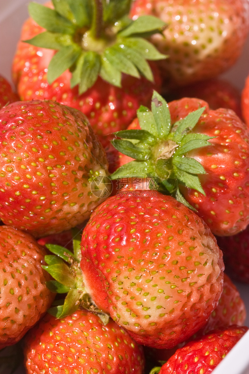 草莓甜点饮食宏观食物水果生态种植营养图片