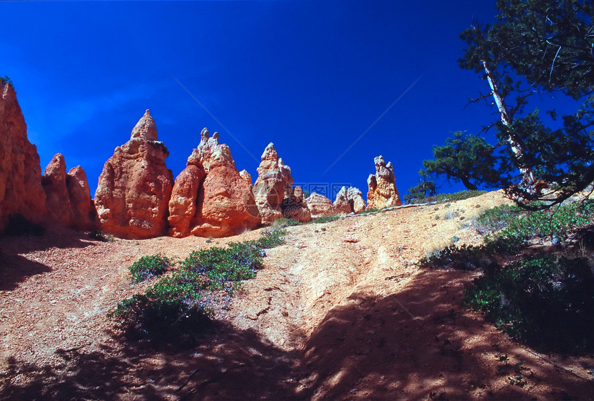 布莱红色高原橙子地质学国家沉积游客公园侵蚀旅行图片