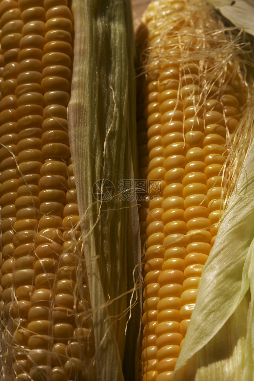 玉米饮食市场食物食品农业植物蔬菜味道烹饪图片