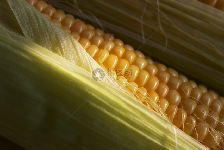 玉米饮食食品味道市场蔬菜烹饪植物食物农业图片