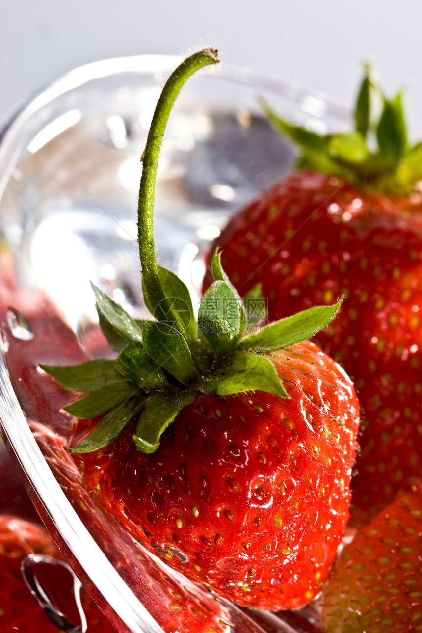 草莓生态食物甜点水果饮食种植植物营养图片