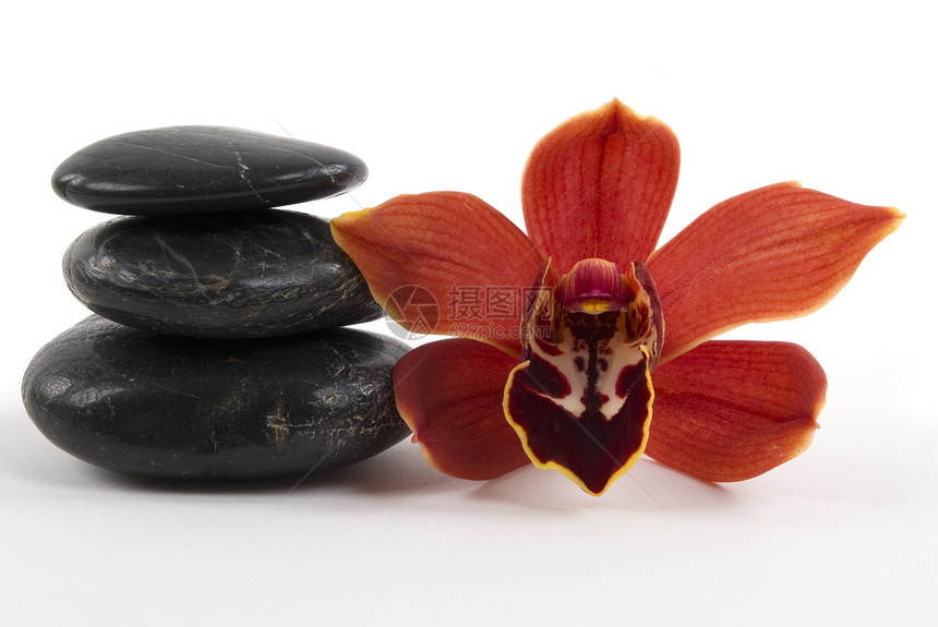 兰花和佩布石头热带植物学香气卵石异国植物疗法温泉情调图片