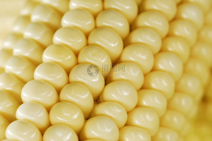 玉米密闭蔬菜内核小吃收成玉米片金子爆米花流行音乐谷物饮食图片