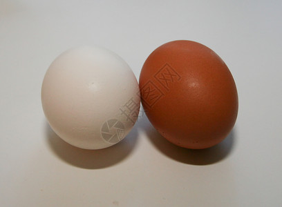 两个鸡蛋家禽棕色蛋壳椭圆形钥匙斑点白色母鸡宏观小鸡背景图片