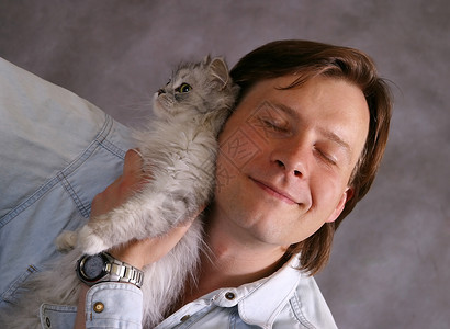 用猫的肖像宠物动物微笑男人良种美丽小猫魅力灰色工作室背景图片