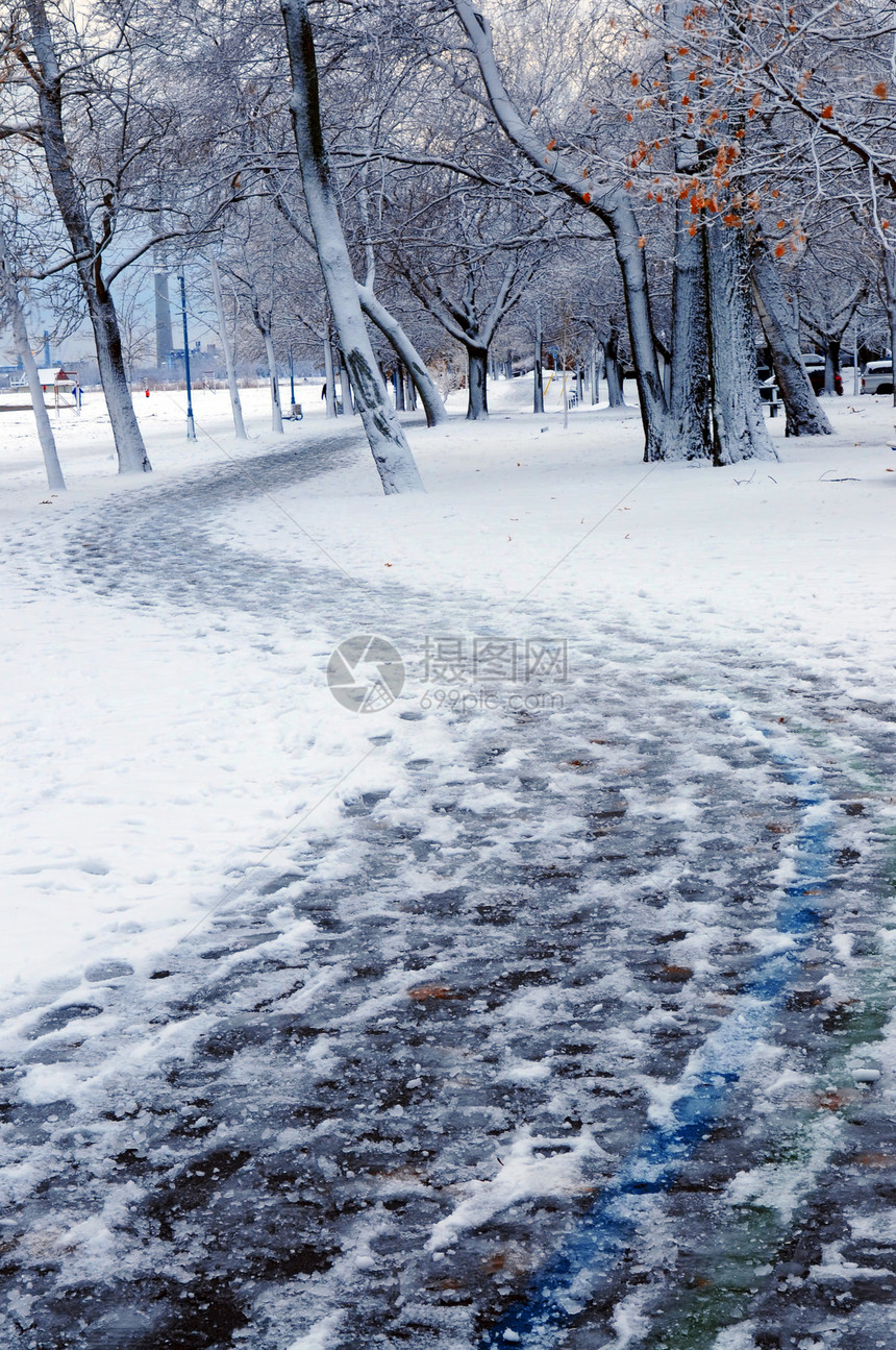 冬季公园分支机构降雪踪迹脚印支撑曲线森林远足季节城市图片