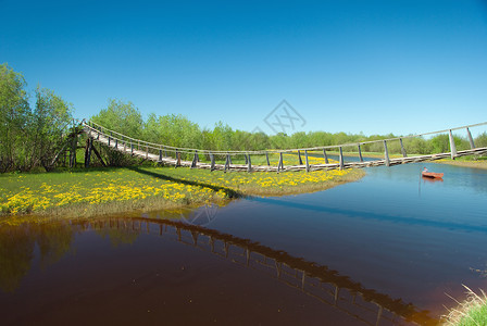 狭窄绳索行桥树叶木板电缆平衡房屋灌木木头高清图片