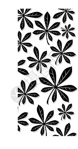 冬叶菜单白色创造力插图阴影边界黑色装饰品墙纸叶子背景图片
