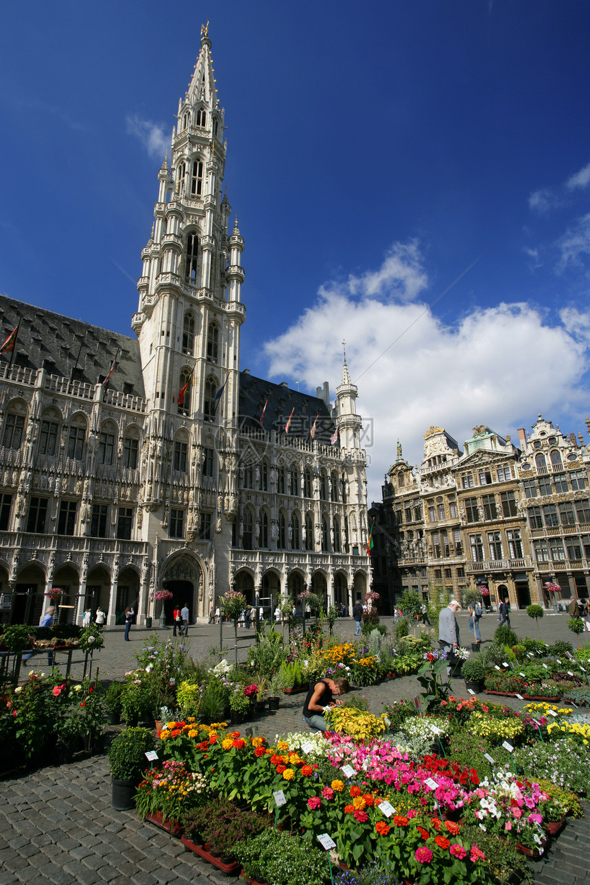 布鲁塞尔大广场建筑学天空市场建筑文化旅行花朵正方形中心大厅图片