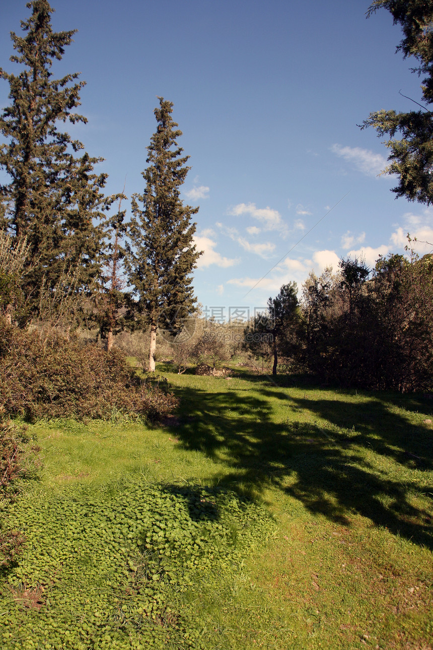 自然运动风景环境公园高尔夫球天空农业树木场地花园植物图片