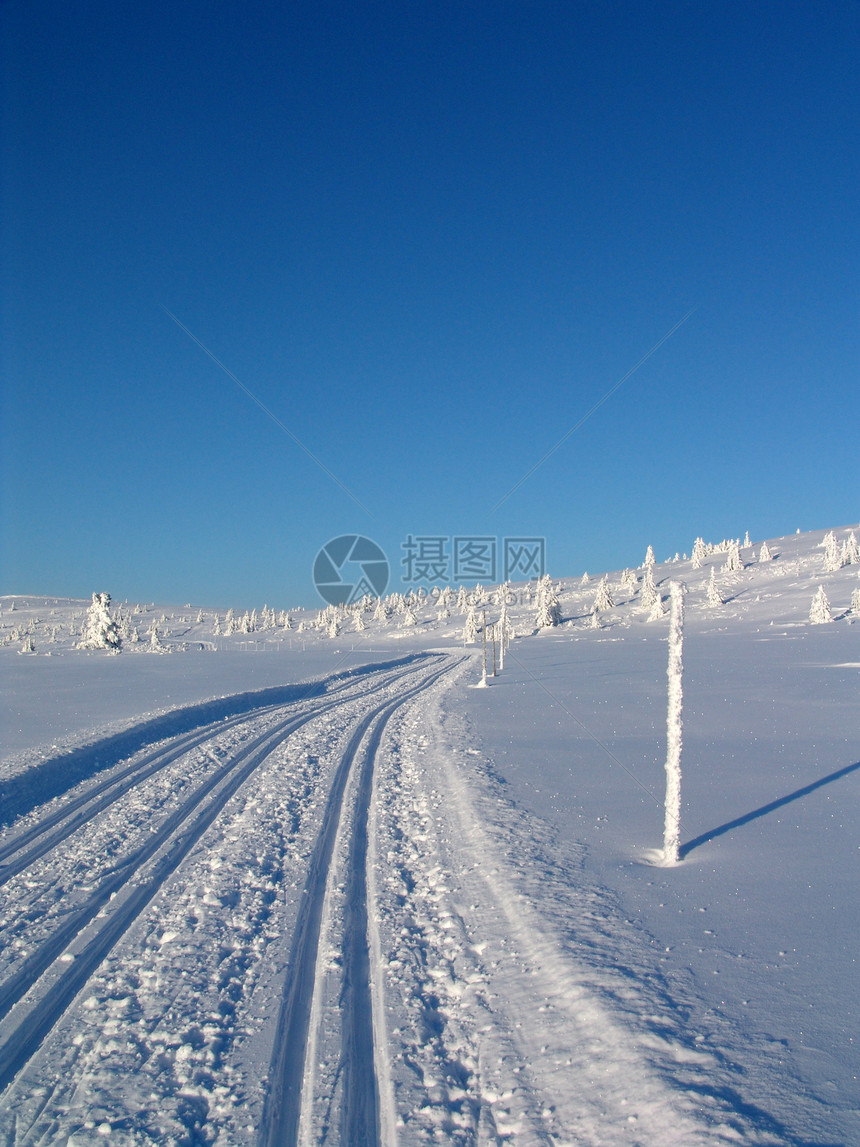 赛马车探险家娱乐途径运动探索树木滑雪路线小路活动图片