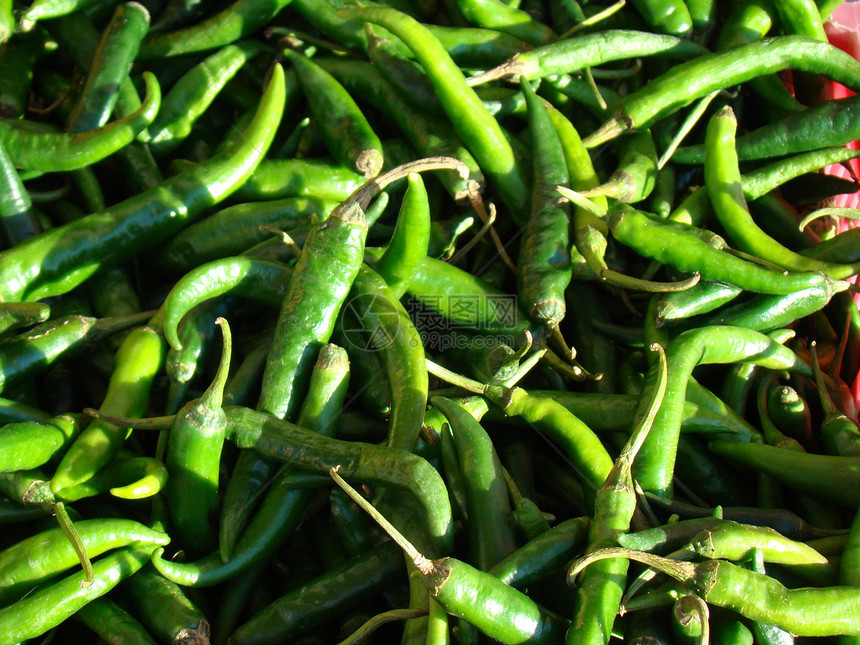 绿辣椒生产种子食物蔬菜绿色市场胡椒植物图片