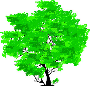 绿树黑色插图树叶白色绿色叶子背景图片