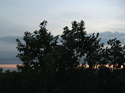 傍晚天空日落背景图片