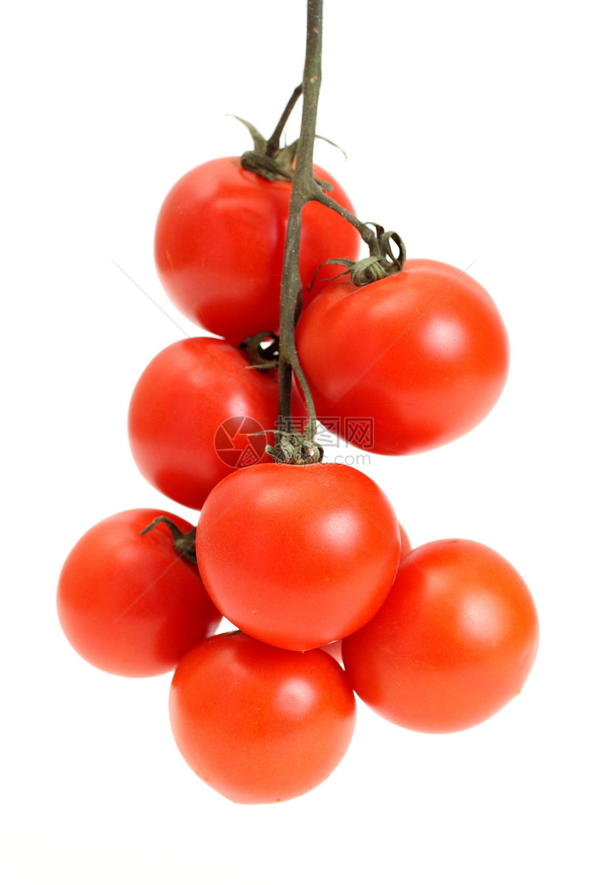 番茄类农业活力果汁红色饮食收获蔬菜团体花园沙拉图片