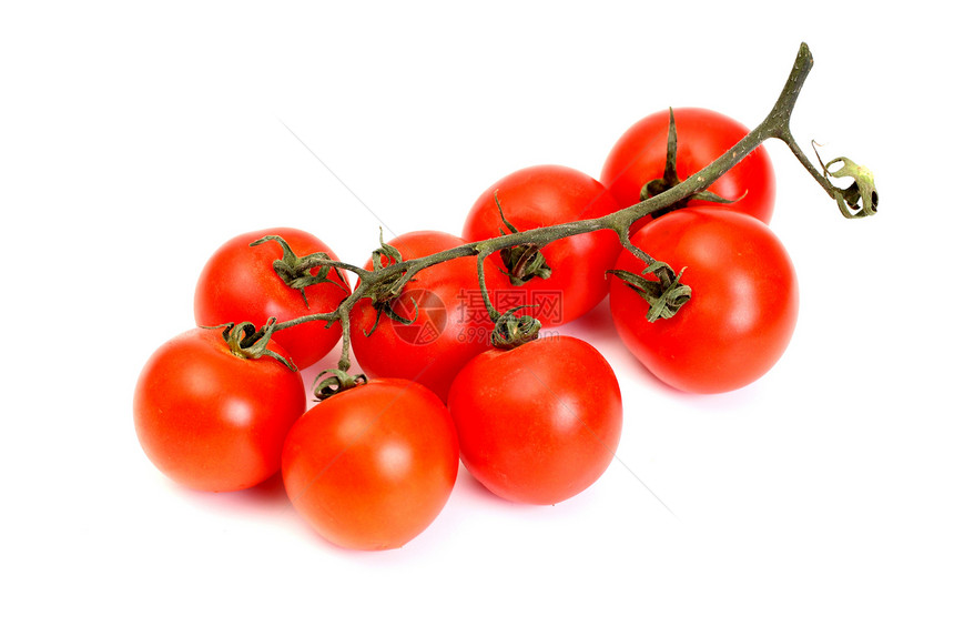番茄类农业沙拉收获果汁蔬菜叶子红色活力花园团体图片