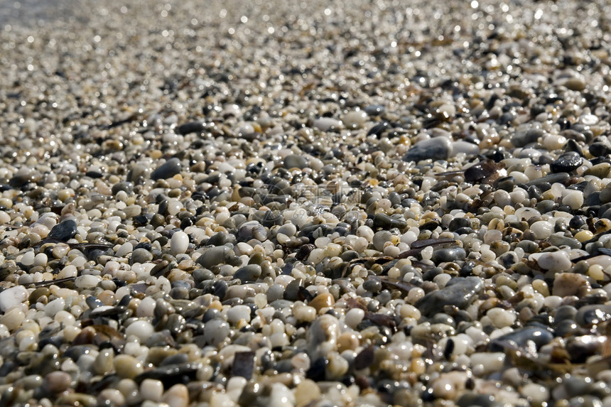 沿海海岸利润海滩假期喘息陷阱燧石废墟支撑鹅卵石卵石图片