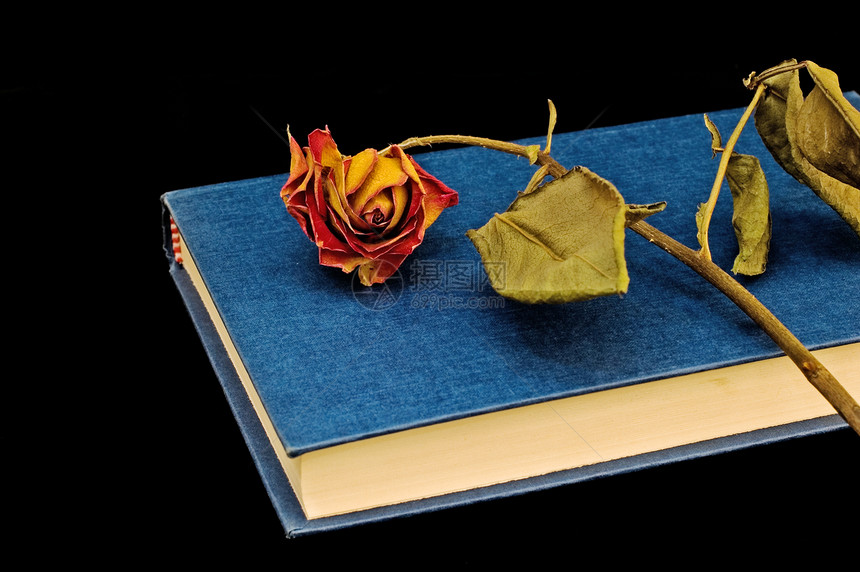 书架和书摊上干透的玫瑰花朵选择性黑色焦点红色静物背景图片
