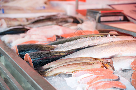 供市场销售的新鲜鱼维生素美味钓鱼午餐动物食物鳟鱼蛋白质高清图片素材