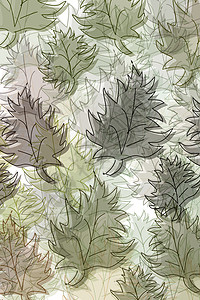 树叶样式季节邮票植物森林棕色烙印节奏绿色插图叶子背景图片