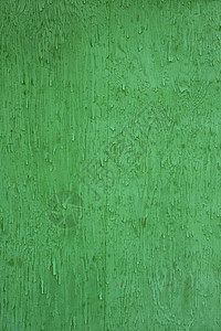 深绿色颜色的粗木本背景背景图片