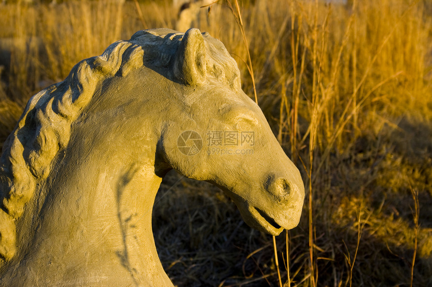 马雕塑图片
