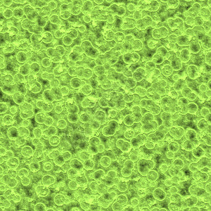 细菌镶嵌插图生物学显微镜病菌细胞背景图片