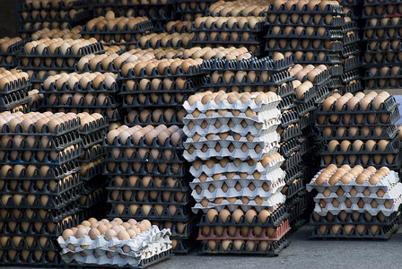 蛋塑料托盘营养生产棕色卵子背景图片
