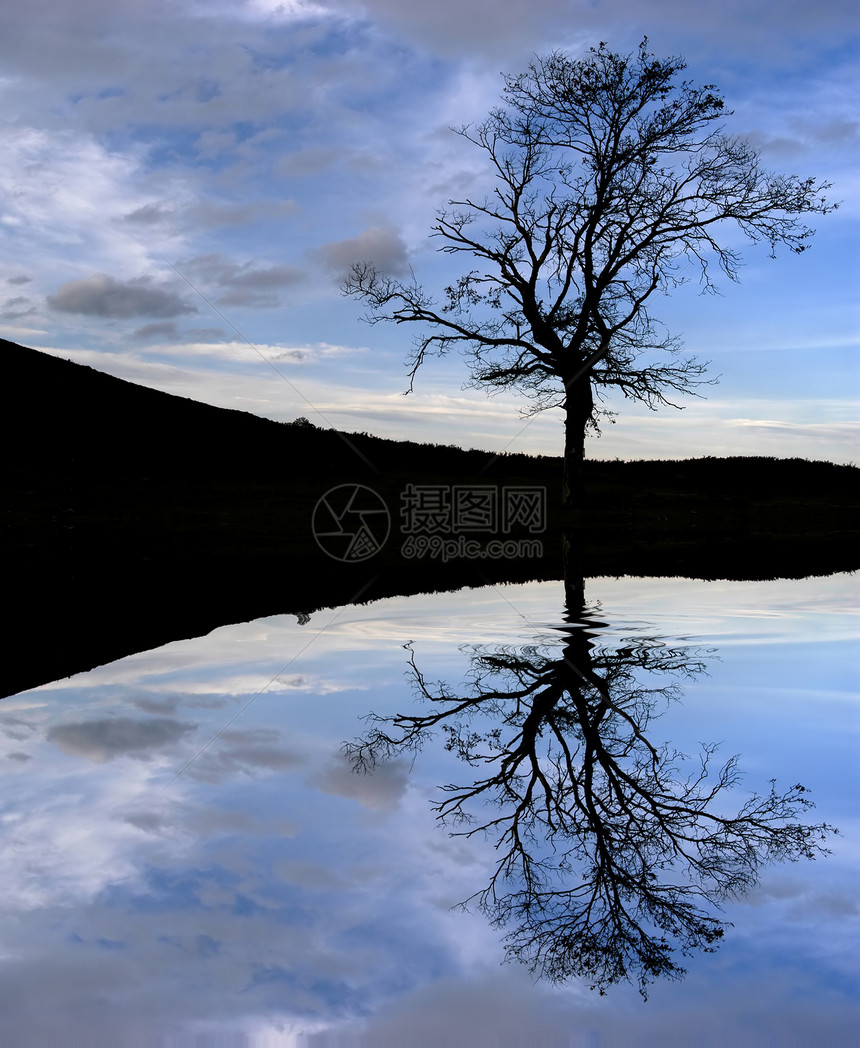 树镜子季节自由农村洪水生长天空反射国家天堂图片