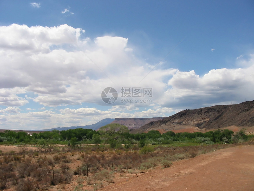 锡安NP盆地砂岩国家处女公园针叶林河岸旅行峡谷林地图片